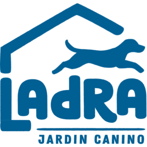 imagotipo square azul