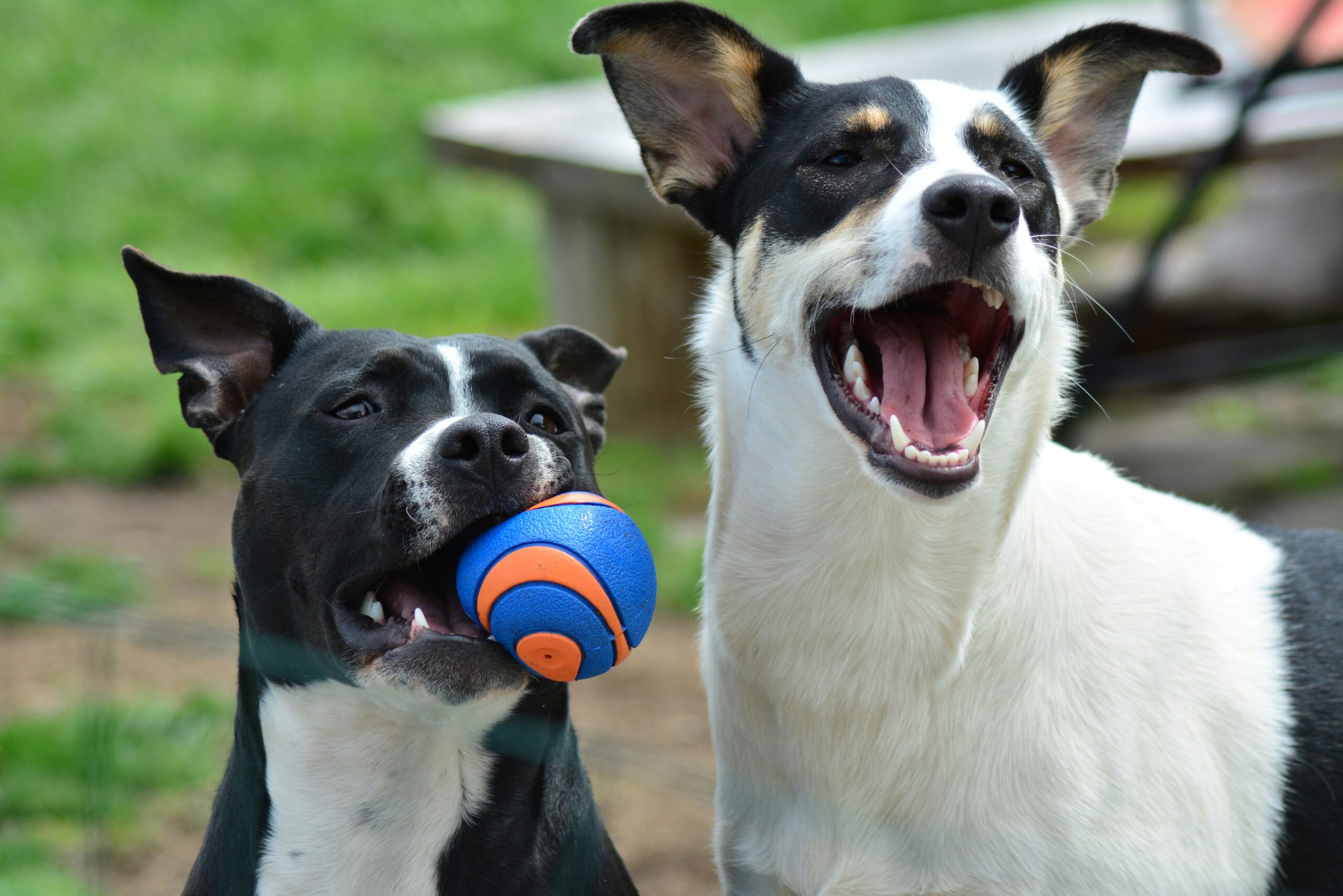 experienciagratificante