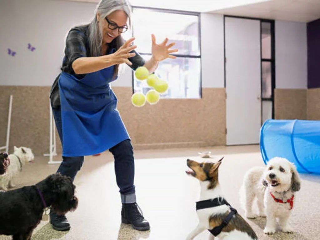 istockphoto 1432560544 612x612