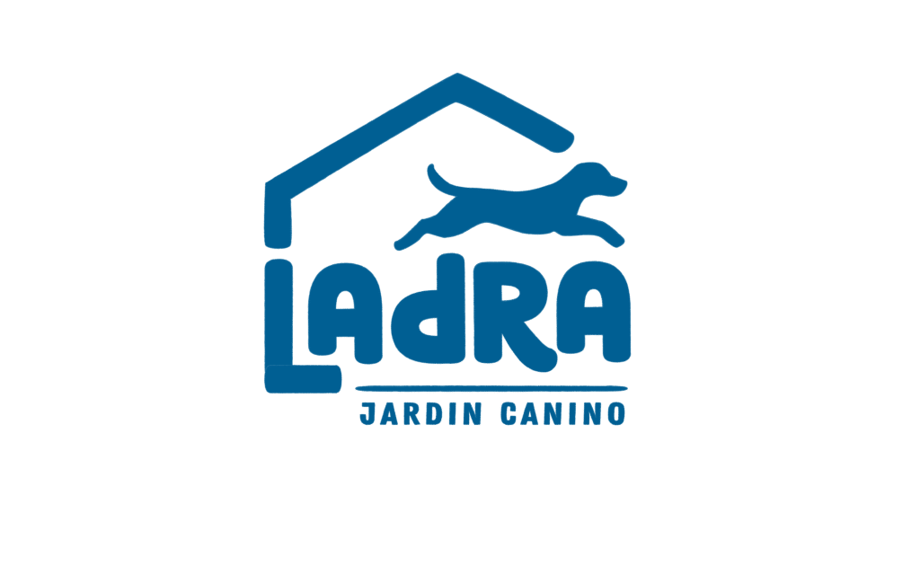 ladra logo transparente ladra logo transparente